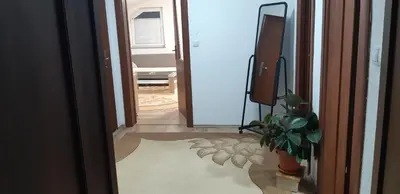 a hallway with a television and a plant on the floor at LUX APARTMENT in Banja Luka