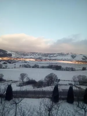 a snow covered field with trees and a river at Apartman SM IK 1 in Tomislavgrad