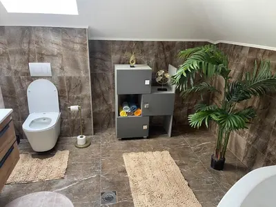 a bathroom with a toilet and a plant in it at Vila BD in Milešići
