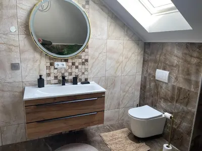 a bathroom with a sink and a mirror at Vila BD in Milešići