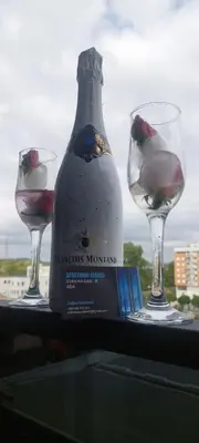 a bottle of wine and two glasses on a table at Apartman Bjanka in Banja Luka
