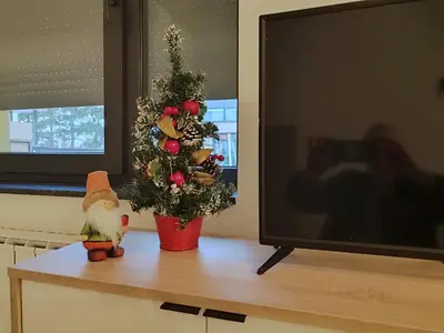 a christmas tree on a table next to a television at Panonika Tuzla in Tuzla