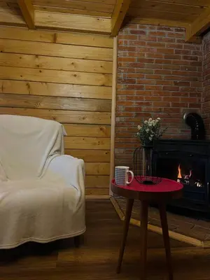 a living room with a bed and a fireplace at Vikendica Bajka in Banja Luka