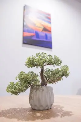 a bonsai tree in a white pot in front of a painting at Ada Nostra in Banja Luka