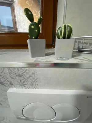 two cactuses in pots on top of a counter at Villa Ruža Vareš in Vareš