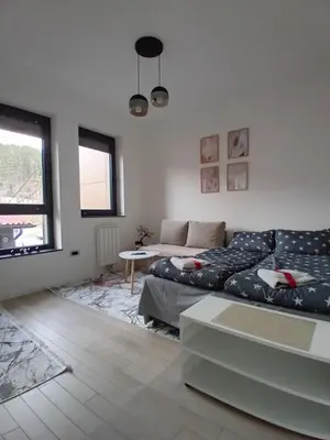 a living room with a couch and a table at AS apartman Panonica in Tuzla