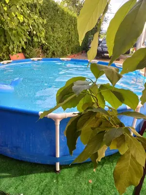 a large blue tub sitting next to a plant at Apartman Varcar in Bihać