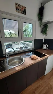 a kitchen with a sink and two windows at Unatime.Krupa in Bosanska Krupa
