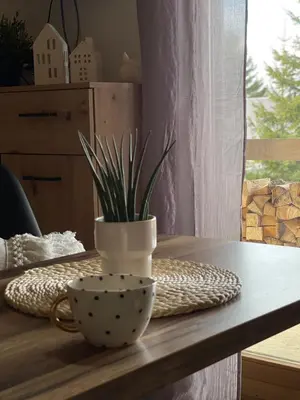 a table with a bowl and a plant on it at Obiteljska oaza Vlašić in Vlasic