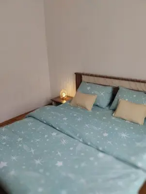 a bedroom with a bed with blue sheets and pillows at Ananbi in Banja Luka