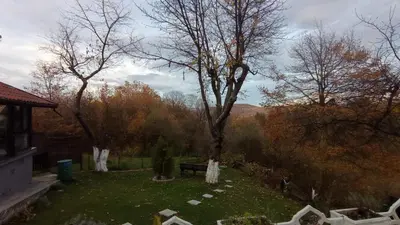 a park with trees and a bench in the grass at Apartman Nej&Se Ravne in Visoko