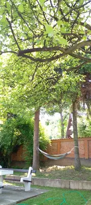 a hammock tied to two trees in a park at Apartman Nej&Se Ravne in Visoko