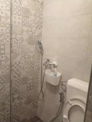 a bathroom with a toilet and a shower in it at Apartman Nej&Se Ravne in Visoko