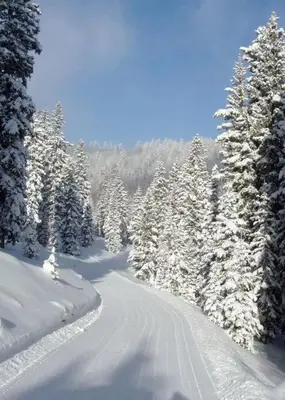 a snow covered road with snow covered trees on a mountain at Apartment Znaor in Kupres