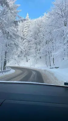 a view of a road with snow covered trees at Apartment Znaor in Kupres