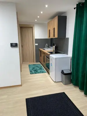 a kitchen with a sink and a dishwasher at Apartman Flora Vlasic in Vlasic