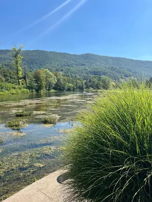 a river with grass in the foreground and mountains in the background at Bed and Breakfast Family Djukic in Šipovo