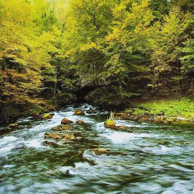a river with rocks in the middle of a forest at Bed and Breakfast Family Djukic in Šipovo