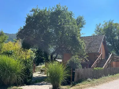 a house with a tree and a bench in front of it at Bed and Breakfast Family Djukic in Šipovo