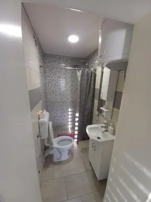 a bathroom with a toilet and a shower and a sink at SOBE CICKO in Bosansko Petrovo Selo