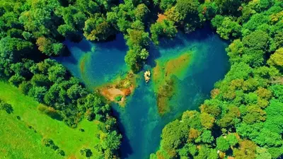 an aerial view of a river in a forest at Apartment Zara Bihac in Bihać