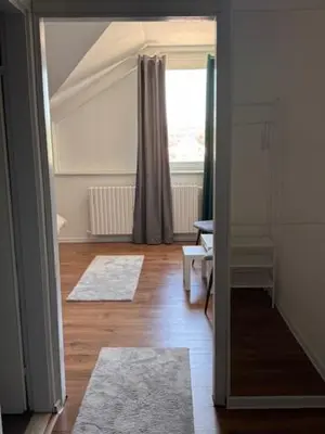 a hallway with two rugs in a room with a window at Rooms ALEA in Sanski most