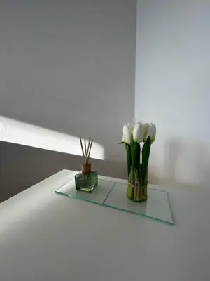 two vases with white flowers on a shelf at Rooms ALEA in Sanski most