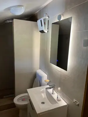 a bathroom with a sink and a mirror and a toilet at 
