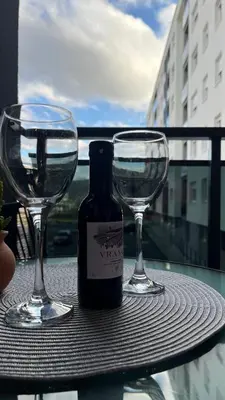 a bottle of wine and two glasses on a table at Stan 23 in Banja Luka