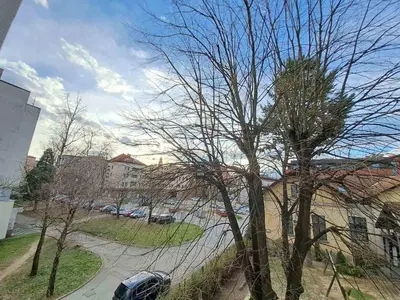 a tree with no leaves on it next to a street at Stojanović Diwine in Banja Luka