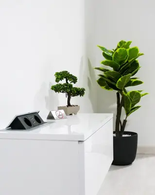 a white desk with two bonsai trees on it at Apartman PLATINUM in Doboj