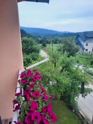 a balcony with pink flowers on the side of a building at Guest House Šobić in Šipovo