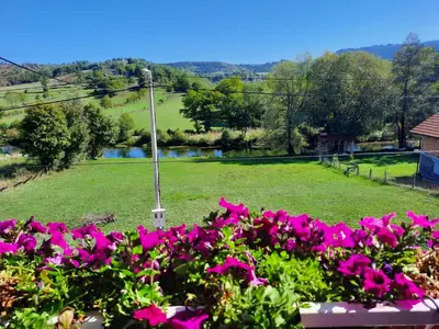 a view of a field with pink flowers and a pole at Guest House Šobić in Šipovo
