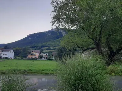 a tree in a field with a mountain in the background at Guest House Šobić in Šipovo