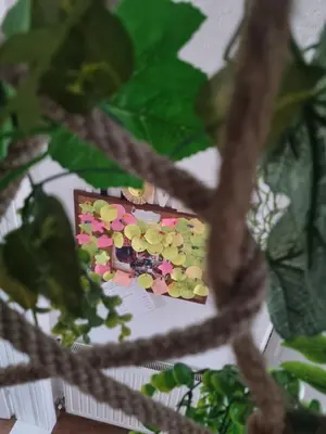 a reflection of a painting of a train in a tree at Kuća za Odmor Naša Priča in Šipovo