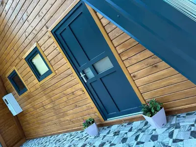 a blue door on a house with two potted plants at Villa Forest Paradise in Visoko