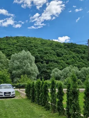 a car parked next to a row of trees at Sofija, Guests House in Ključ