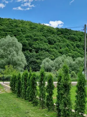 a row of bushes on the side of a road at Sofija, Guests House in Ključ