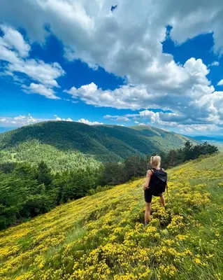 a woman walking in a field of flowers on a hill at Tiny Glamp House - DANGUBA by IGLENA in Kupres