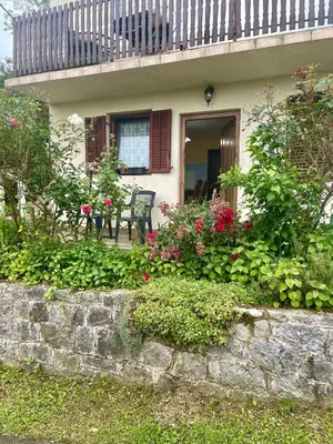 a house with a bunch of flowers in front of it at Stan na dan Tomic in Rebrovac