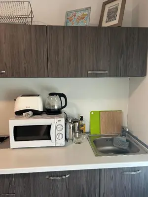 a kitchen counter with a microwave and a sink at Villa 46 - little heaven in Banja Luka