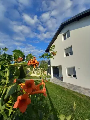 a yard with orange flowers in front of a building at Villa Mia in Prnjavor