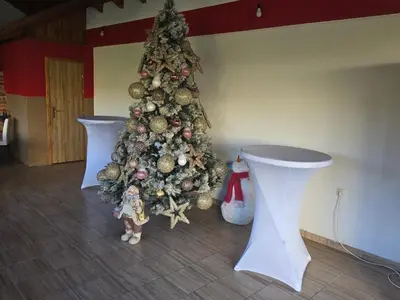 a christmas tree with ornaments on it in a room at Villa Mia in Prnjavor