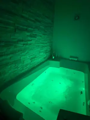 a green bath tub in a room with a brick wall at Stan na dan sa dzakuzijem om relax in Prijedor
