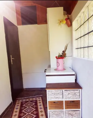 a room with a door and a plant on the floor at Pine Oasis in Zavidovići