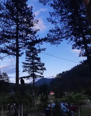 a view of the mountains from between two trees at Pine Oasis in Zavidovići