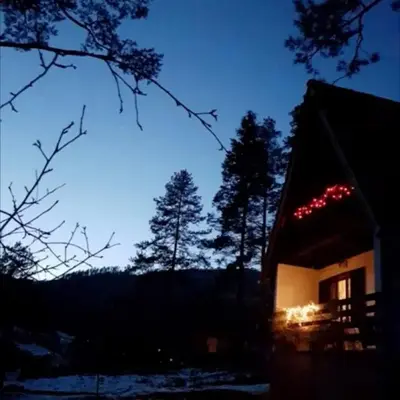 Pine Oasis