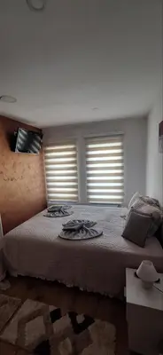 a bedroom with a large bed with two windows at Apartman Nani in Bihać