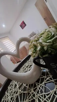 a plant in a basket on the floor in a room at Apartman Nani in Bihać