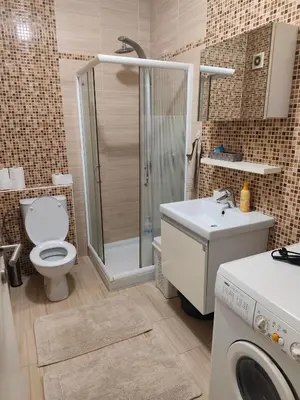 a bathroom with a shower toilet and a sink at Apartman Amabilis in Banja Luka